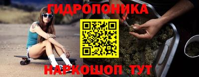 spice Заводоуковск