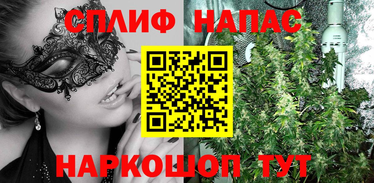 МАРИХУАНА гибрид Гатчина